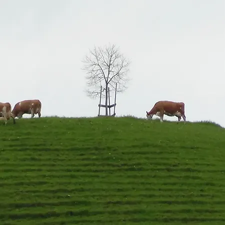 Krindenhof *