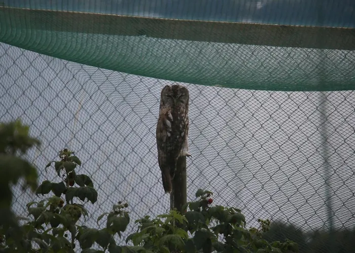 Krinde Apartamento Ringoldswil