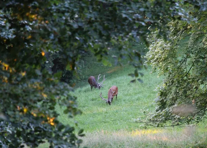 Apartamento Krinde *