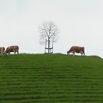 Krinde *